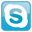 Skype Icon